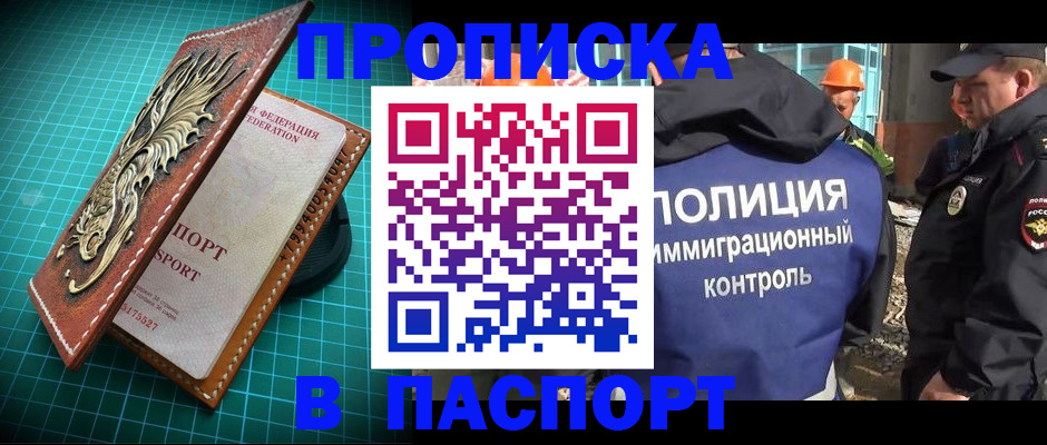 где прописаться в Палласовке